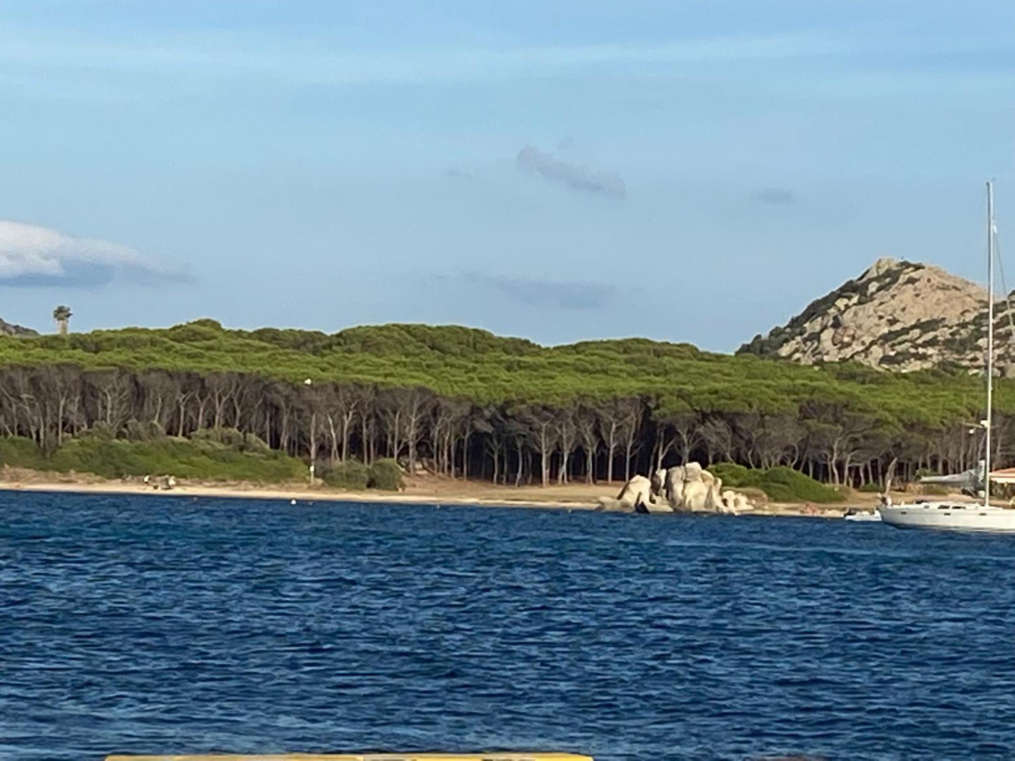 Club Esse Residence Capo D'Orso Palau Bagian luar foto
